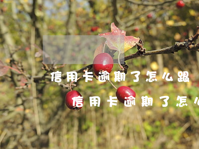 “信用卡逾期了怎么跟銀行協(xié)商解決”（信用卡逾期了怎么協(xié)商減免利息費）
