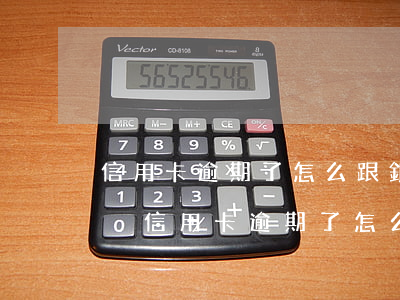 信用卡逾期了怎么跟銀行協(xié)商解決(信用卡逾期了怎么跟銀行協(xié)商解決只還本金)