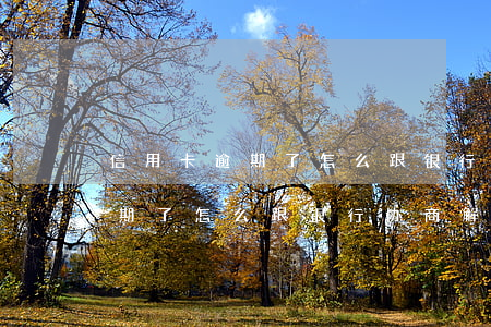 信用卡逾期了怎么跟银行协商解决(信用卡逾期了怎么跟银行协商解决只还本金)