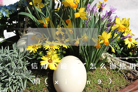 信用卡 逾期了怎么辦（信用卡逾期的人注意事項(xiàng)）