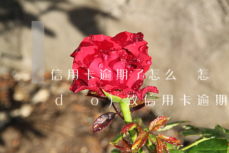 信用卡 逾期了怎么辦（怎樣會(huì)導(dǎo)致信用卡逾期）