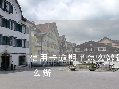 信用卡逾期了怎么辦最好辦(信用卡 逾期了怎么辦)