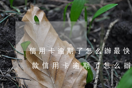 信用卡逾期了怎么辦最快還款方法(所有的貸款信用卡逾期了怎么辦)