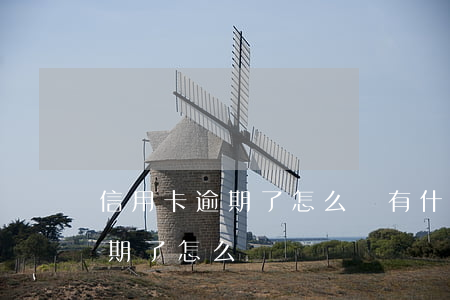 信用卡逾期了怎么辦有什么影響 辦信用卡逾期了怎么辦
