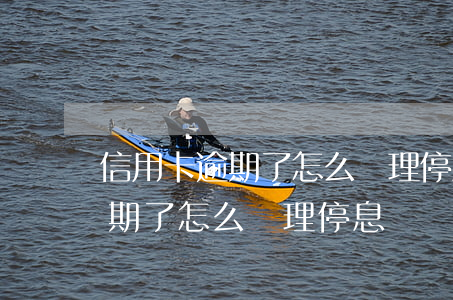 信用卡逾期了怎么辦理停息掛賬-信用卡逾期了怎么辦理停息掛賬還款