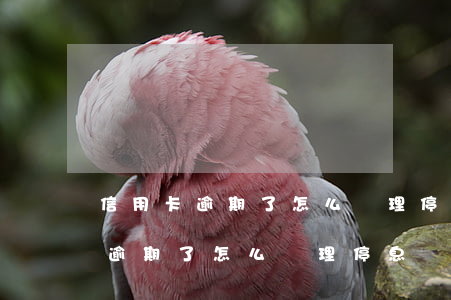 信用卡逾期了怎么辦理停息掛賬的-信用卡逾期了怎么辦理停息掛賬的手續(xù)