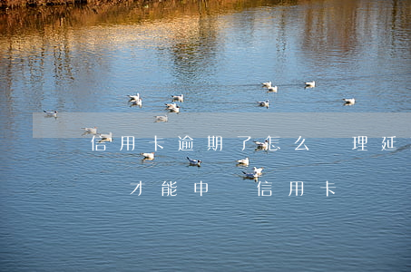 信用卡逾期了怎么辦理延期(之前逾期了怎么樣才能申請信用卡?)