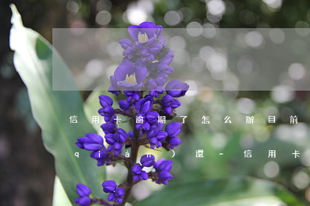 信用卡逾期了怎么辦目前沒(méi)錢(qián)還-信用卡逾期了怎么辦目前沒(méi)錢(qián)還了
