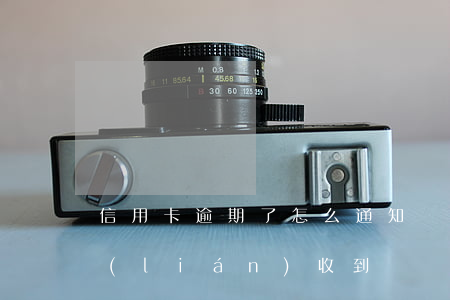 信用卡逾期了怎么通知對(duì)方失聯(lián)(收到電話說信用卡逾期)