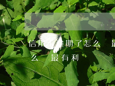 信用卡逾期了怎么還最有利(信用卡逾期了怎么還最有利)