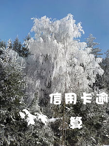 信用卡逾期了怎么還款劃算(欠信用卡怎么還劃算)