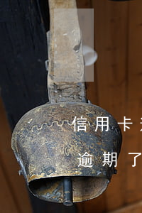 信用卡逾期了怎么還進(jìn)去(信用卡逾期了還進(jìn)去了還能用嗎)