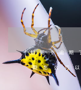 信用卡逾期了怎樣快速賣房(買房子信用卡逾期怎么可以貸款嗎)
