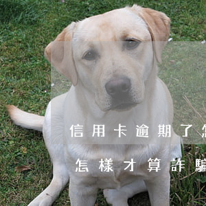 信用卡逾期了怎樣才算詐騙罪（信用卡逾期了怎樣才算詐騙）