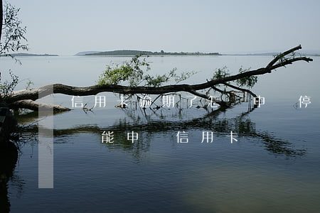信用卡逾期了怎樣申請停息掛賬(停息掛賬后還能申請信用卡嗎)