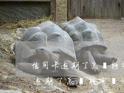 信用卡逾期了怎樣能申請停息掛賬-信用卡逾期了怎樣能申請停息掛賬呢
