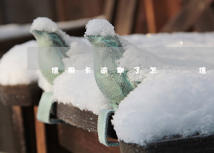 信用卡逾期了怎樣說 信用卡逾期了怎樣說