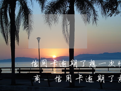 信用卡逾期了想一次性還款咋協(xié)商-信用卡逾期了想一次性還款咋協(xié)商呢