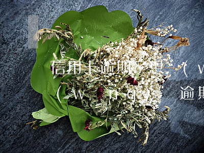 信用卡逾期了想網(wǎng)貸怎么弄(網(wǎng)貸逾期 信用卡)