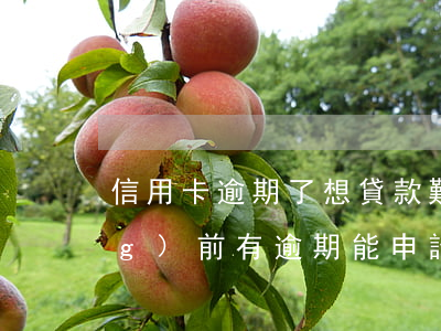 信用卡逾期了想貸款難了(信用卡當(dāng)前有逾期能申請(qǐng)貸款的沒(méi))