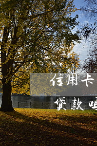 信用卡逾期了想贷款还-有信用卡逾期还能贷款吗