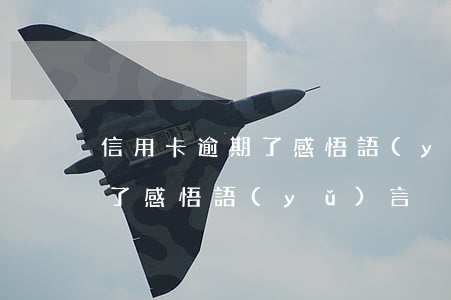 信用卡逾期了感悟語(yǔ)言(信用卡逾期了感悟語(yǔ)言)