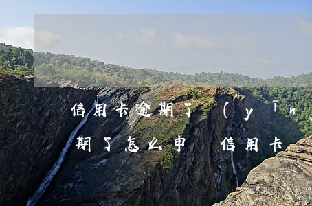 信用卡逾期了應(yīng)該去哪求助(逾期了怎么申請信用卡)