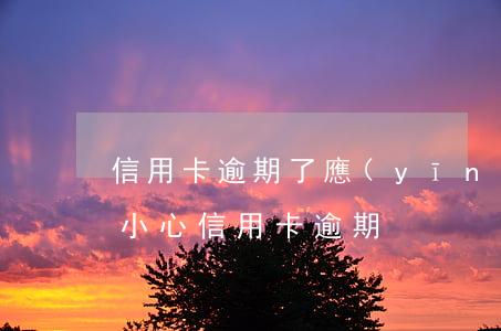 信用卡逾期了應(yīng)該向誰求助(不小心信用卡逾期)