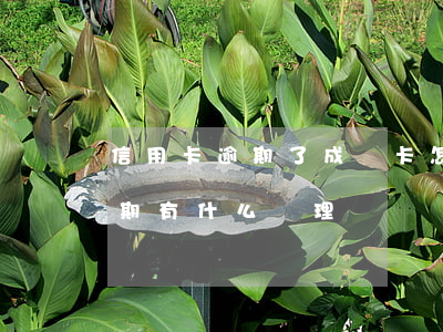 信用卡逾期了成廢卡怎么辦(今年的信用卡逾期有什么處理)