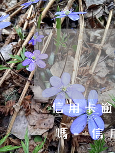 信用卡逾期了我還打錢進(jìn)去還錢嗎-信用卡逾期了我還打錢進(jìn)去還錢嗎怎么辦