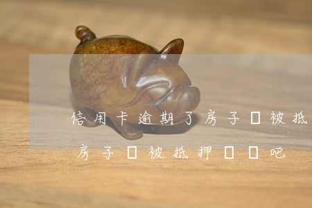 信用卡逾期了房子會被抵押嗎(信用卡逾期了房子會被抵押嗎貼吧)