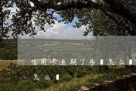 信用卡逾期了房貸怎么還(信用卡逾期了房貸怎么還)
