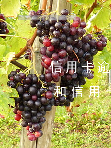 信用卡逾期了房貸被扣走怎么辦-銀行貸款和信用卡逾期了怎么辦