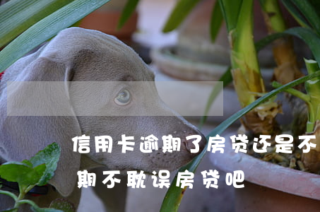 信用卡逾期了房贷还是不影响(有信用卡没逾期不耽误房贷吧)