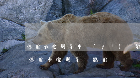 信用卡逾期了手機(jī)還能用嗎(為什么信用卡逾期了還能用)
