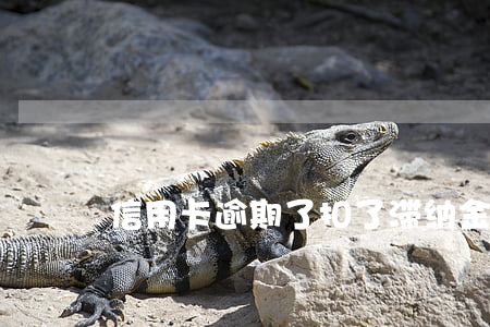 信用卡逾期了扣了滞纳金(滞纳金逾期利息)