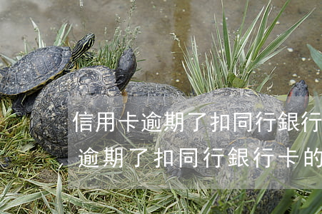 信用卡逾期了扣同行銀行卡的錢嗎-信用卡逾期了扣同行銀行卡的錢嗎安全嗎
