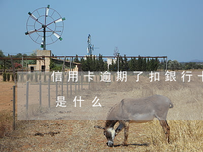 信用卡逾期了扣銀行卡里的前嗎(銀行卡逾期是什么)