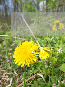信用卡逾期了扣錢嗎(信用卡逾期怎么扣費)