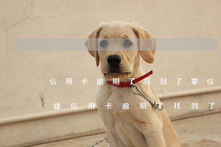 信用卡逾期了找到了單位會(huì)怎么樣（信用卡逾期了找到了單位）