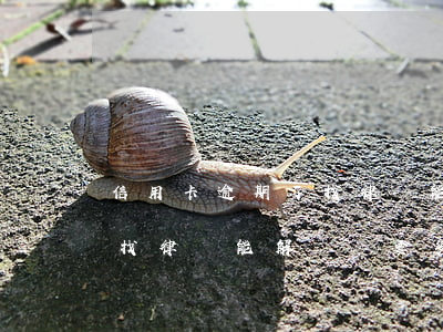信用卡逾期了找律師能解決嗎(信用卡逾期了找律師能解決嗎要多少錢)