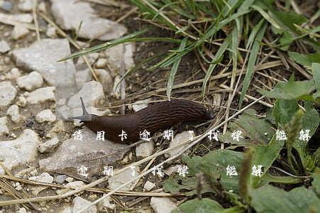 信用卡逾期了找律師能解決嗎郵政-信用卡逾期了找律師能解決嗎郵政銀行