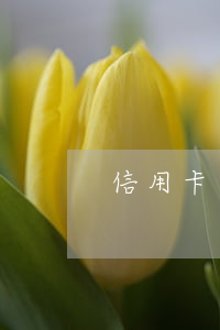 信用卡逾期了找法務協(xié)商犯法嗎