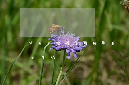 信用卡逾期了捷信能用嗎(捷信有逾期辦信用卡可以嗎)