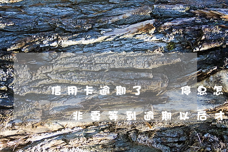 信用卡逾期了掛賬停息怎么辦 為什么停息掛賬非要等到逾期以后才能辦理