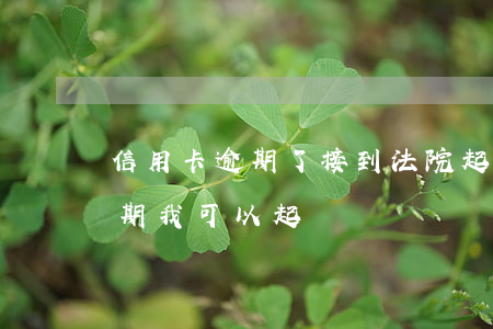 信用卡逾期了接到法院起訴(朋友用信用卡逾期,我可以起訴嗎)