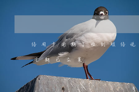 信用卡逾期了收到短信说开庭(发短信信用卡逾期已立案)