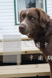 信用卡逾期了收到銀行傳票怎么辦-欠信用卡逾期收到法院傳票怎么辦