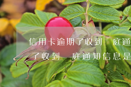 信用卡逾期了收到開庭通知信息(信用卡逾期了收到開庭通知信息是真的嗎)