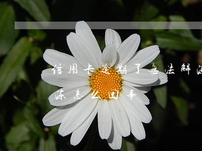信用卡逾期了无法解冻 信用卡逾期了无法解冻怎么回事